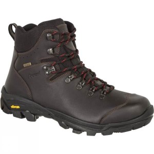 Men's Anatom C2 Walking Boots Brown India | JT99-874