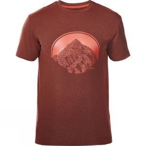 Men's Berghaus Voyager Peak T Shirts Brown India | PC64-577