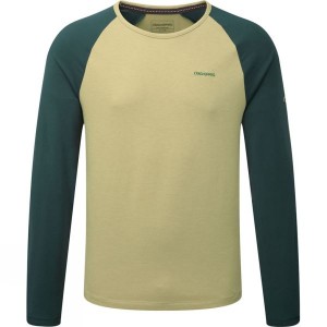 Men's Craghoppers Maple Long Sleeve T Shirts Yellow India | TE69-258