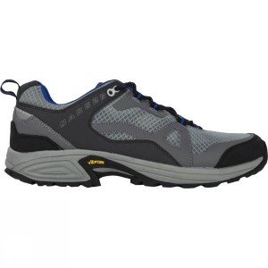 Men's Dare 2 b Cohesion Low Approach Shoes Grey India | BZ86-204