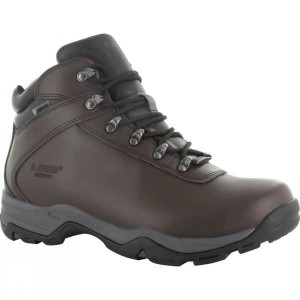 Men's Hi-Tec Eurotrek III WP Walking Boots Dark Chocolate India | PG50-767