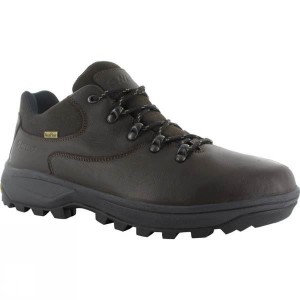 Men's Hi-Tec V-Lite Helvellyn Low WP Approach Shoes Dark Chocolate India | HH82-486