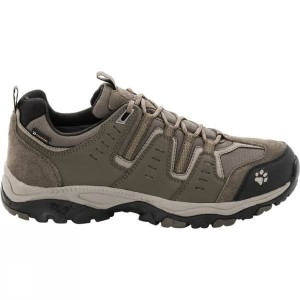 Men's Jack Wolfskin MTN Storm Texapore Low Approach Shoes Brown India | JI83-090