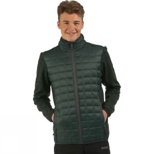 Men's Regatta Chilton Hybrid Insulated Jackets Green India | CA28-289