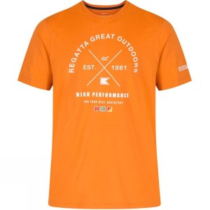 Men's Regatta Cline T Shirts Orange India | RF33-561