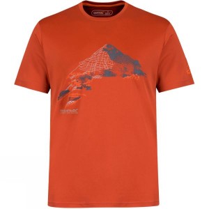 Men's Regatta Fingal II T Shirts Orange India | ZS30-913