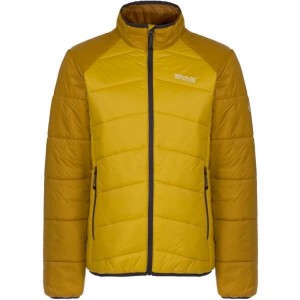 Men's Regatta Icebound II Insulated Jackets Yellow India | KH19-390