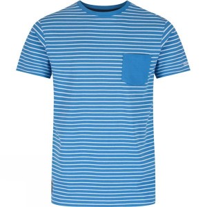 Men's Regatta Twain T Shirts Blue India | VI85-867