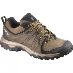 Men's Salomon Evasion LTR Approach Shoes Brown / Dark Grey India | WQ01-320