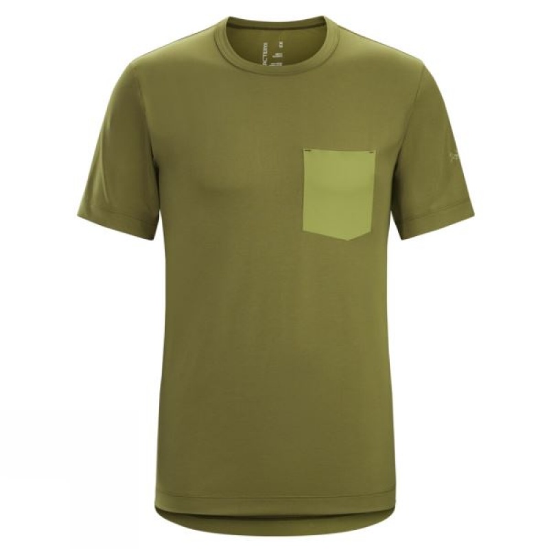 Men\'s Arc\'teryx Anzo T Shirts Olive India | EM23-224