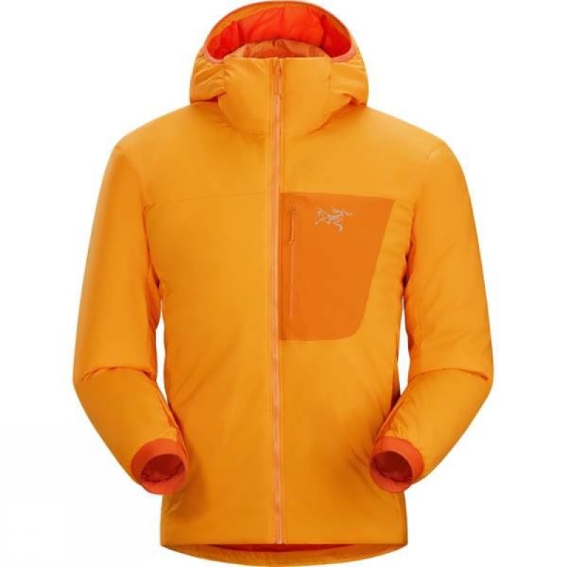 Men\'s Arc\'teryx Proton LT Hoody Insulated Jackets Orange India | KE67-163