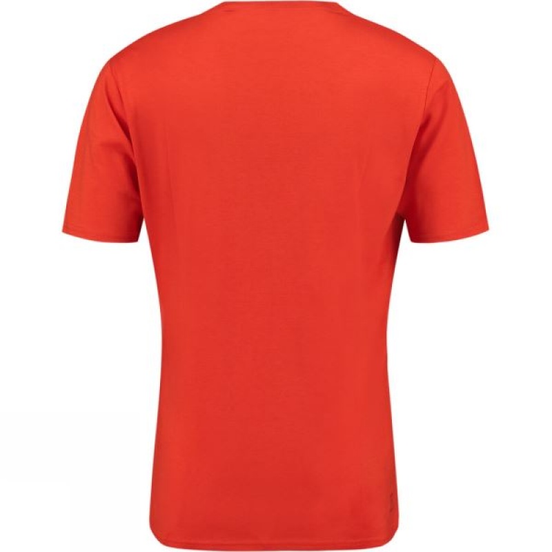 Men's Ayacucho Forest T Shirts Orange India | EQ49-972