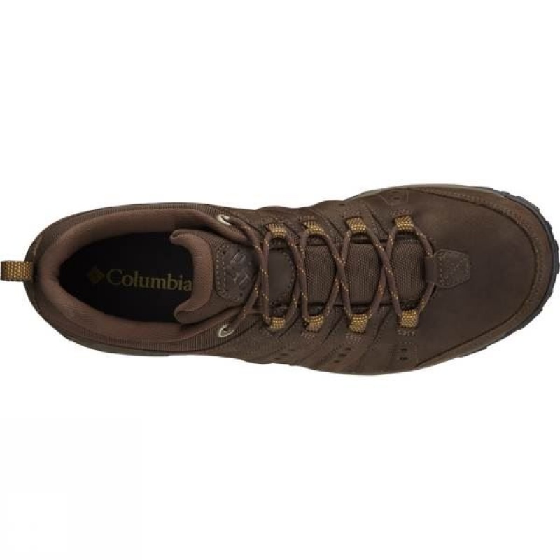 Men's Columbia Woodburn II Plus Waterproof Approach Shoes Dark Brown India | DE17-191