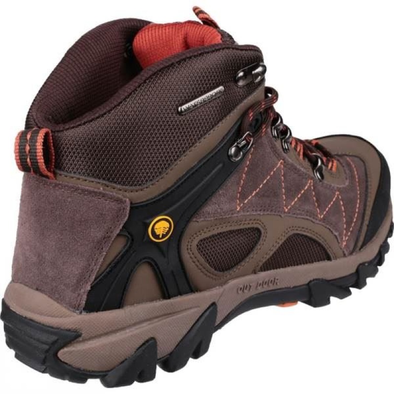 Men's Cotswold Malvern Mid Walking Boots Brown / Orange India | QB37-666