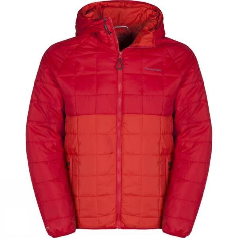 Men\'s Craghoppers Ascent CompressLite Insulated Jackets Red India | ZY19-448