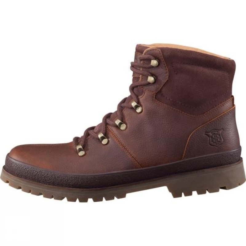 Men's Helly Hansen Brinken Walking Boots Brown India | JD20-048