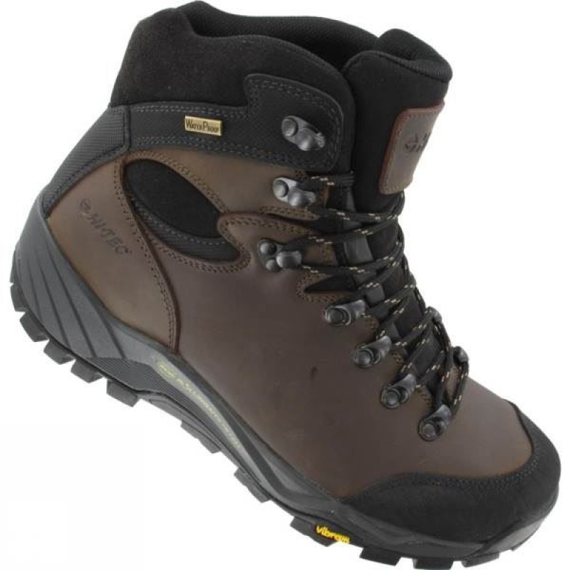 Men's Hi-Tec Altitude Pro RGS WP Walking Boots Dark Chocolate India | WG16-726