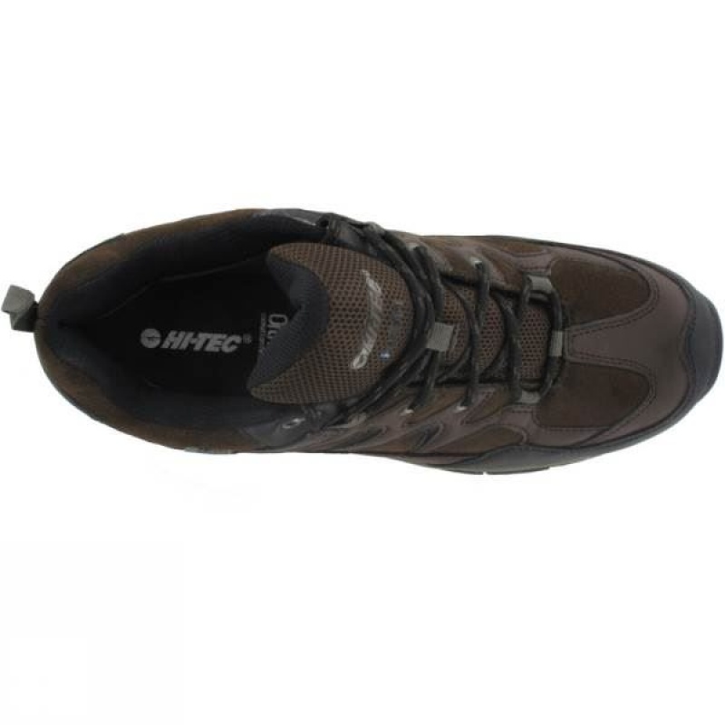 Men's Hi-Tec Altitude Trek Low I WP Approach Shoes Dark Chocolate India | JA64-913