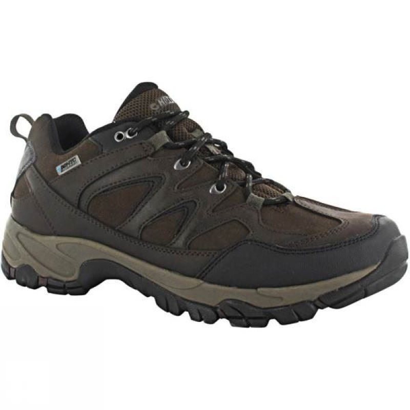 Men\'s Hi-Tec Altitude Trek Low I WP Approach Shoes Dark Chocolate India | JA64-913