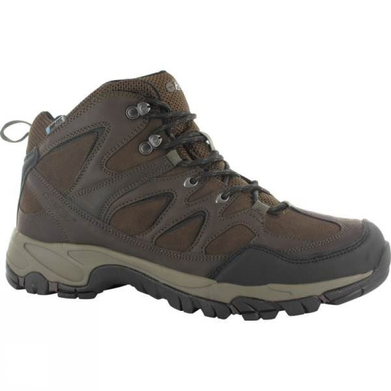 Men\'s Hi-Tec Altitude Trek Mid I WP Walking Boots Dark Chocolate India | HQ49-547