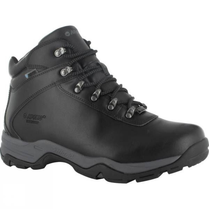 Men's Hi-Tec Eurotrek III WP Walking Boots Dark Chocolate India | PG50-767