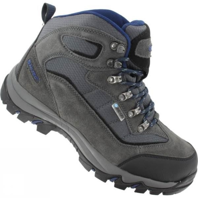 Men's Hi-Tec Keswick WP Walking Boots Dark Grey / Navy India | VD29-673