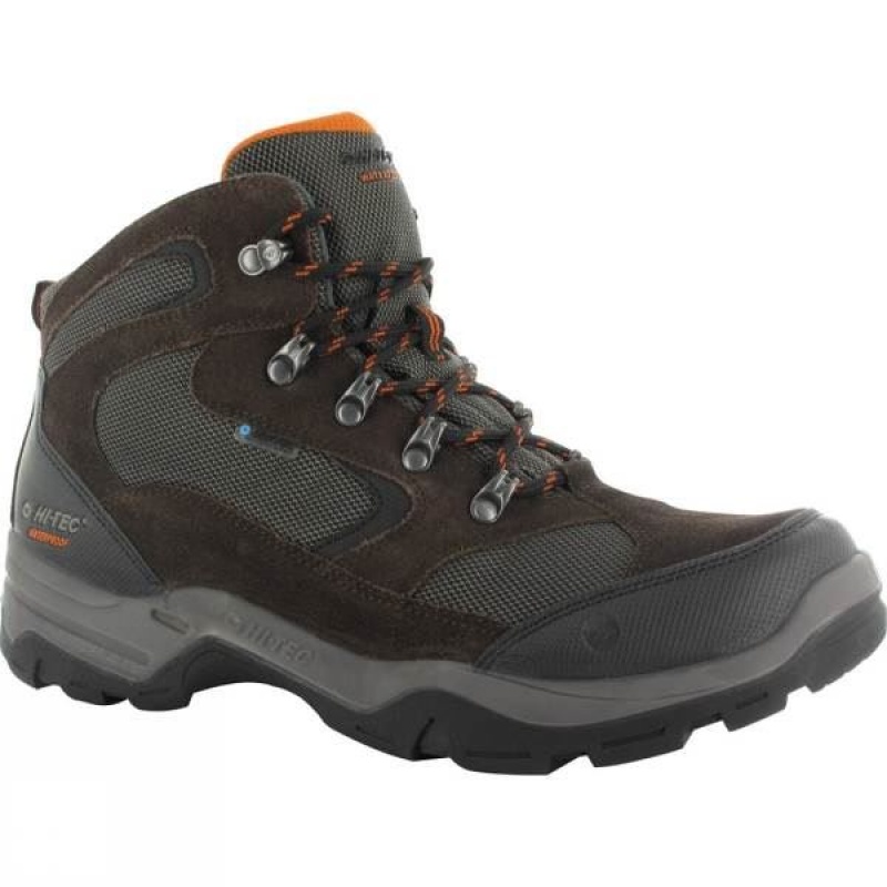 Men\'s Hi-Tec Storm WP Walking Boots Dark Grey India | IO97-361