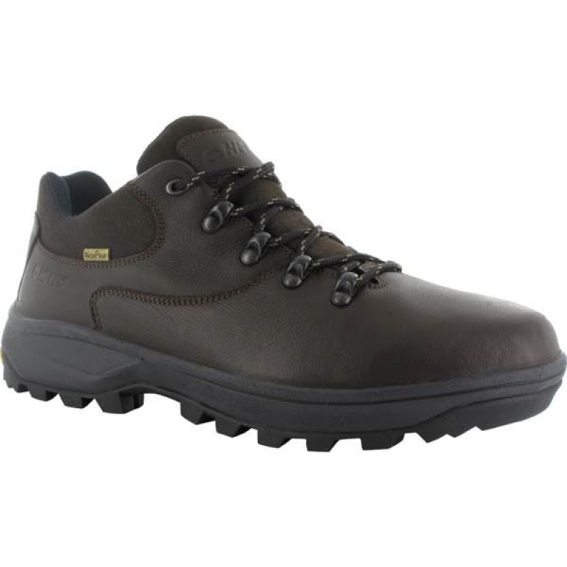 Men\'s Hi-Tec V-Lite Helvellyn Low WP Approach Shoes Dark Chocolate India | HH82-486