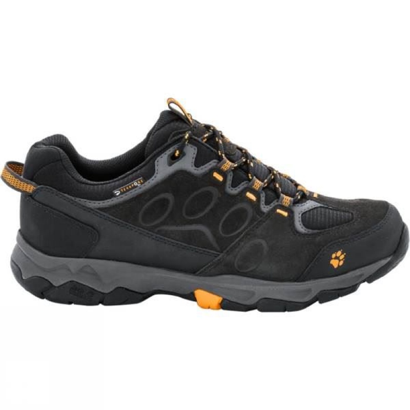 Men\'s Jack Wolfskin MTN Attack 5 Texapore Low Approach Shoes Black India | GW41-982