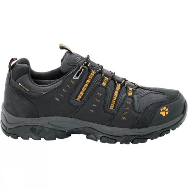 Men\'s Jack Wolfskin MTN Storm Texapore Low Approach Shoes Dark Grey India | KI97-018