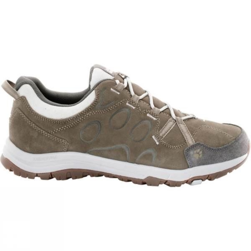 Men\'s Jack Wolfskin Terra Nova Low Approach Shoes Brown India | RG67-298