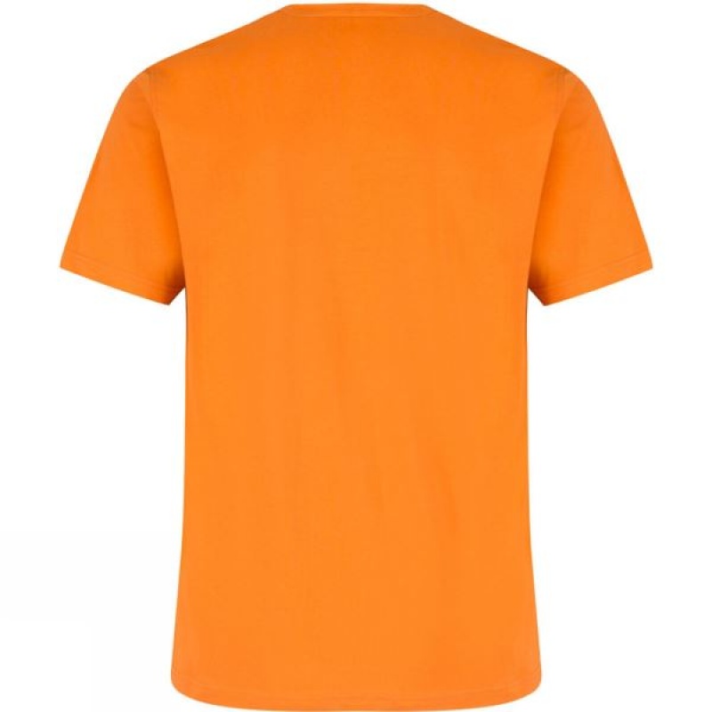 Men's Regatta Cline T Shirts Orange India | RF33-561