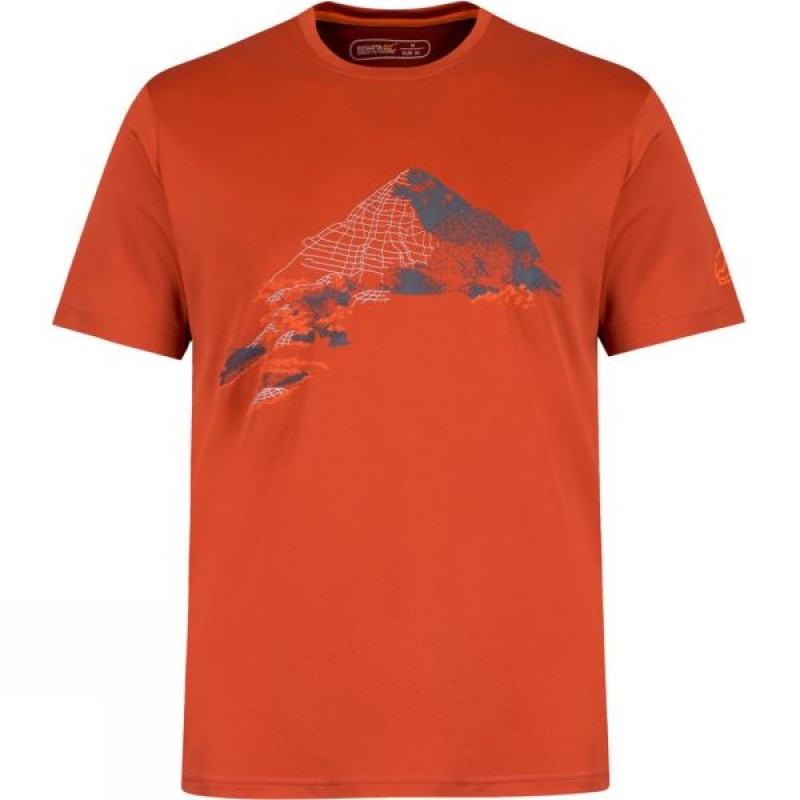 Men's Regatta Fingal II T Shirts Orange India | ZS30-913