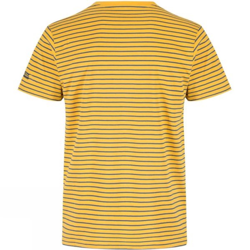 Men's Regatta Twain T Shirts Yellow India | ST42-072