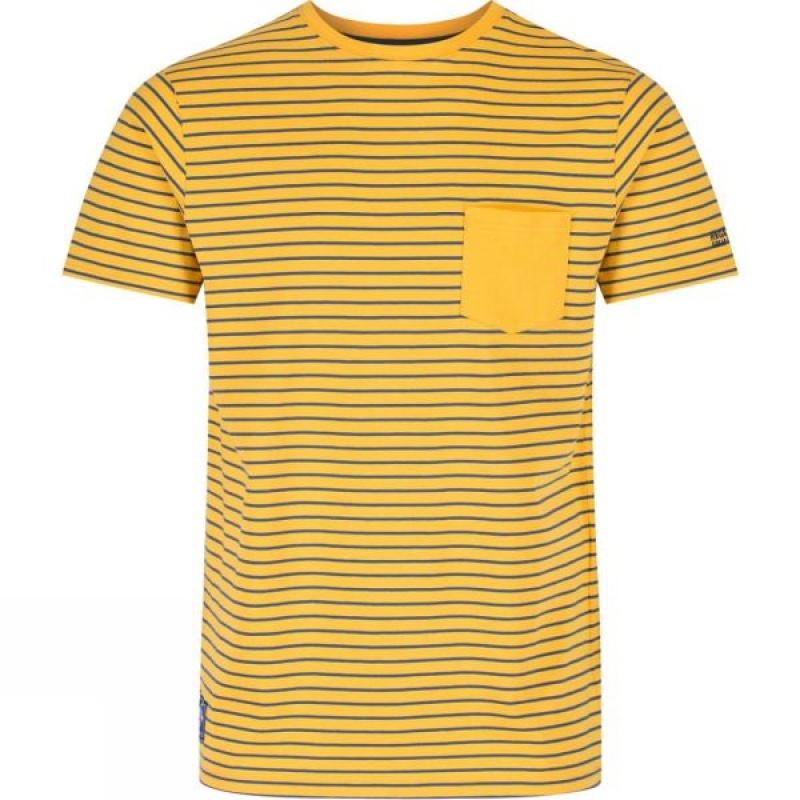 Men\'s Regatta Twain T Shirts Yellow India | ST42-072