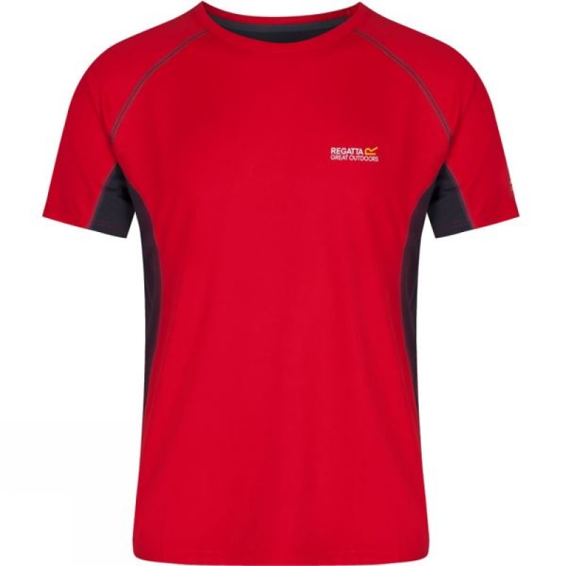 Men\'s Regatta Virda T Shirts Red India | NZ65-772