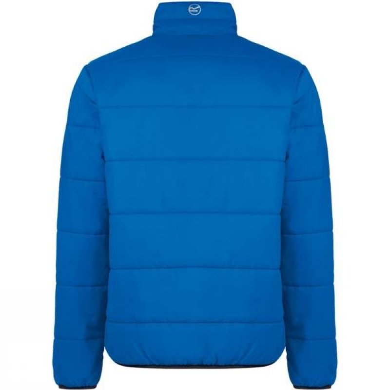 Men's Regatta Zyber Insulated Jackets Blue India | GF63-789