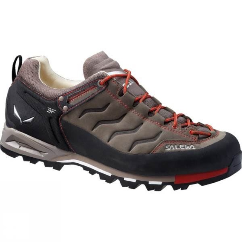 Men\'s Salewa Mountain Trainer Leather Approach Shoes Brown India | HW39-993