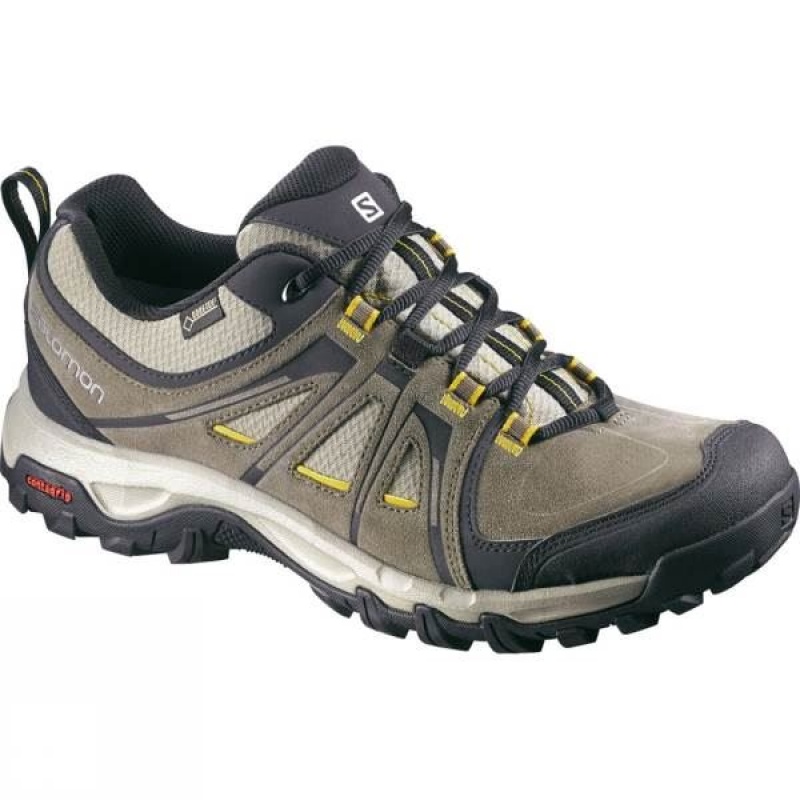 Men\'s Salomon Evasion GTX Approach Shoes Brown / Grey India | FC85-858