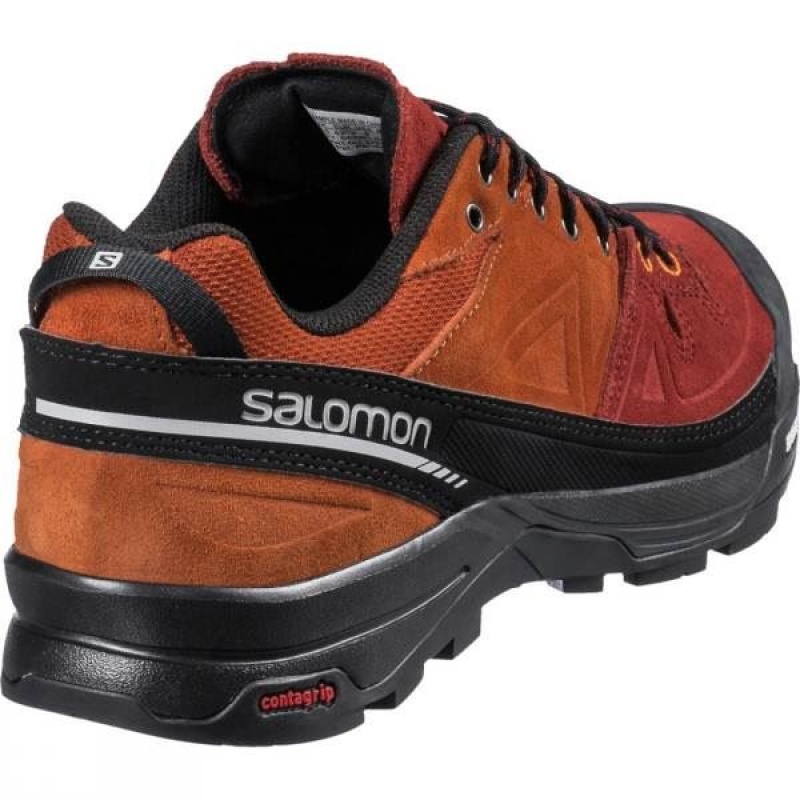 Men's Salomon X Alp LTR Approach Shoes Brown / Grey India | EW66-504