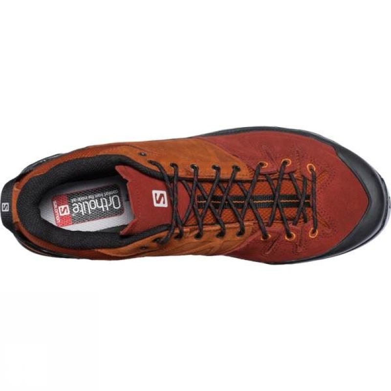 Men's Salomon X Alp LTR Approach Shoes Brown / Grey India | EW66-504