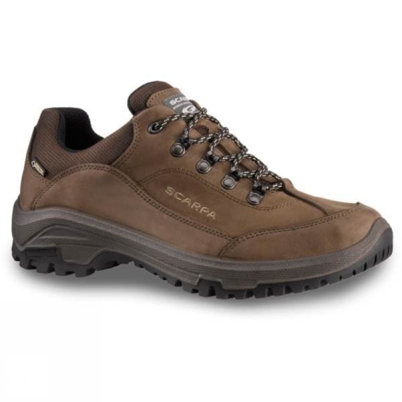 Men\'s Scarpa Cyrus GTX Approach Shoes Brown India | AK58-423