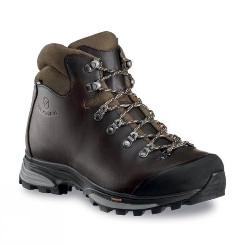 Men\'s Scarpa Delta GTX Activ Walking Boots Dark Brown India | VP87-058