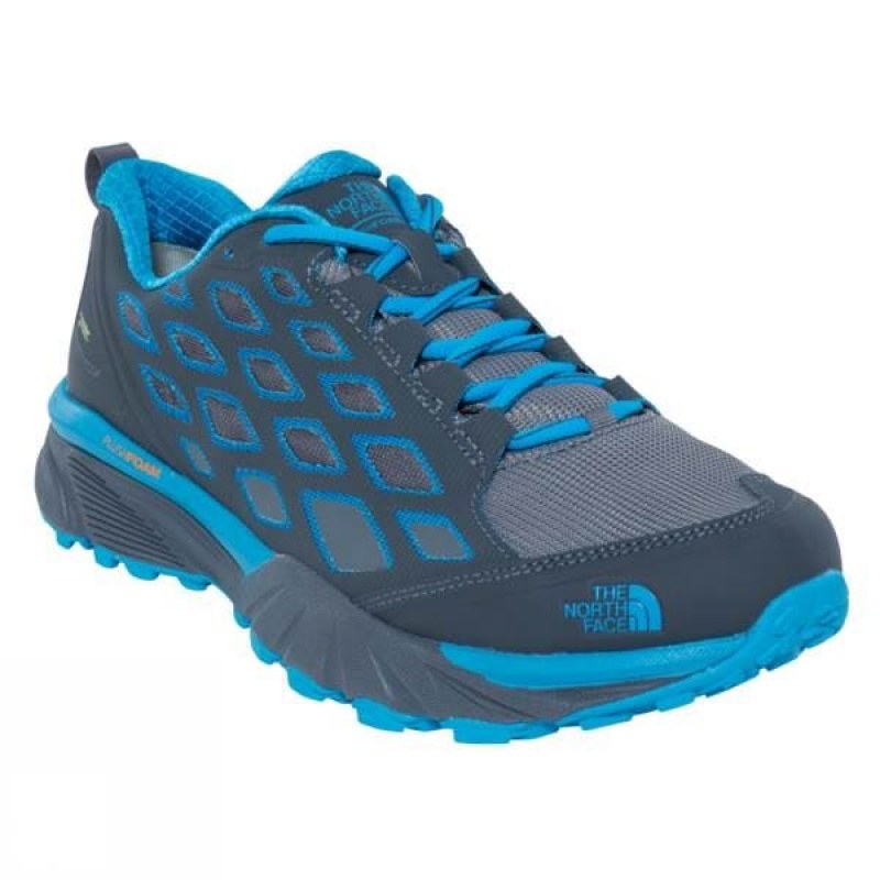 Men\'s The North Face Endurus Hike GTX Approach Shoes Blue India | BI65-098