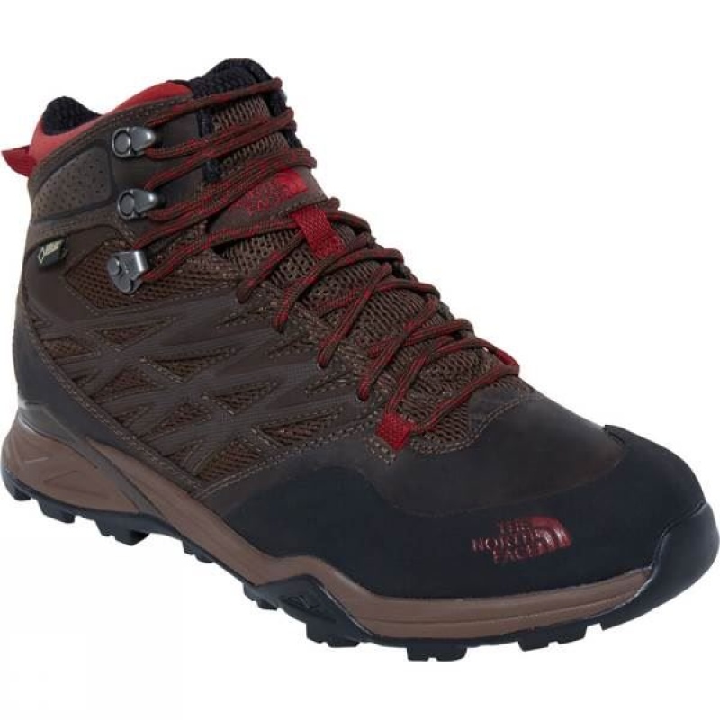 Men\'s The North Face Hedgehog Hike Mid GTX Walking Boots Brown India | IU47-780