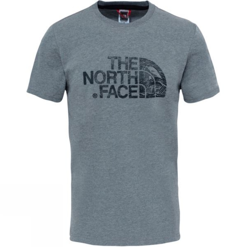 Men\'s The North Face Short Sleeve Woodcut Dome T Shirts Grey India | MC88-339