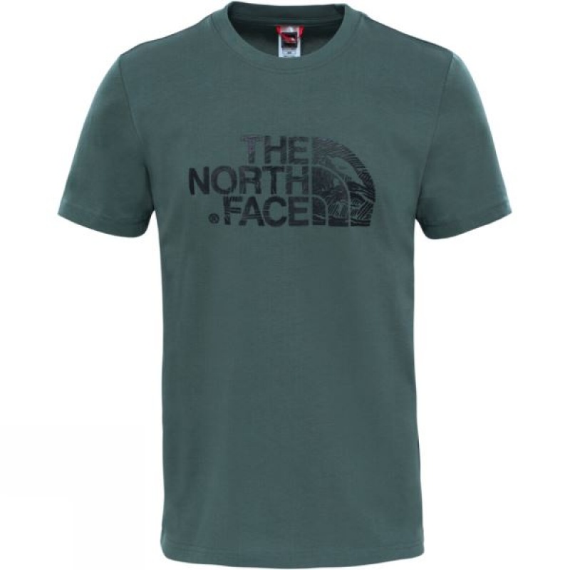 Men\'s The North Face Short Sleeve Woodcut Dome T Shirts Green India | YK44-829