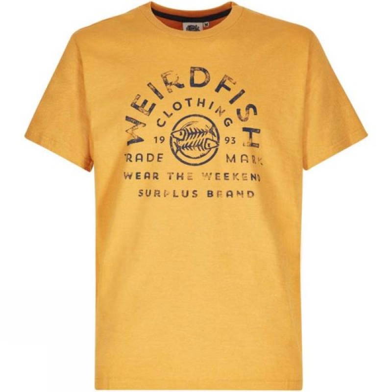 Men\'s Weird Fish Weird Fish Surplus T Shirts Gold India | UO01-075